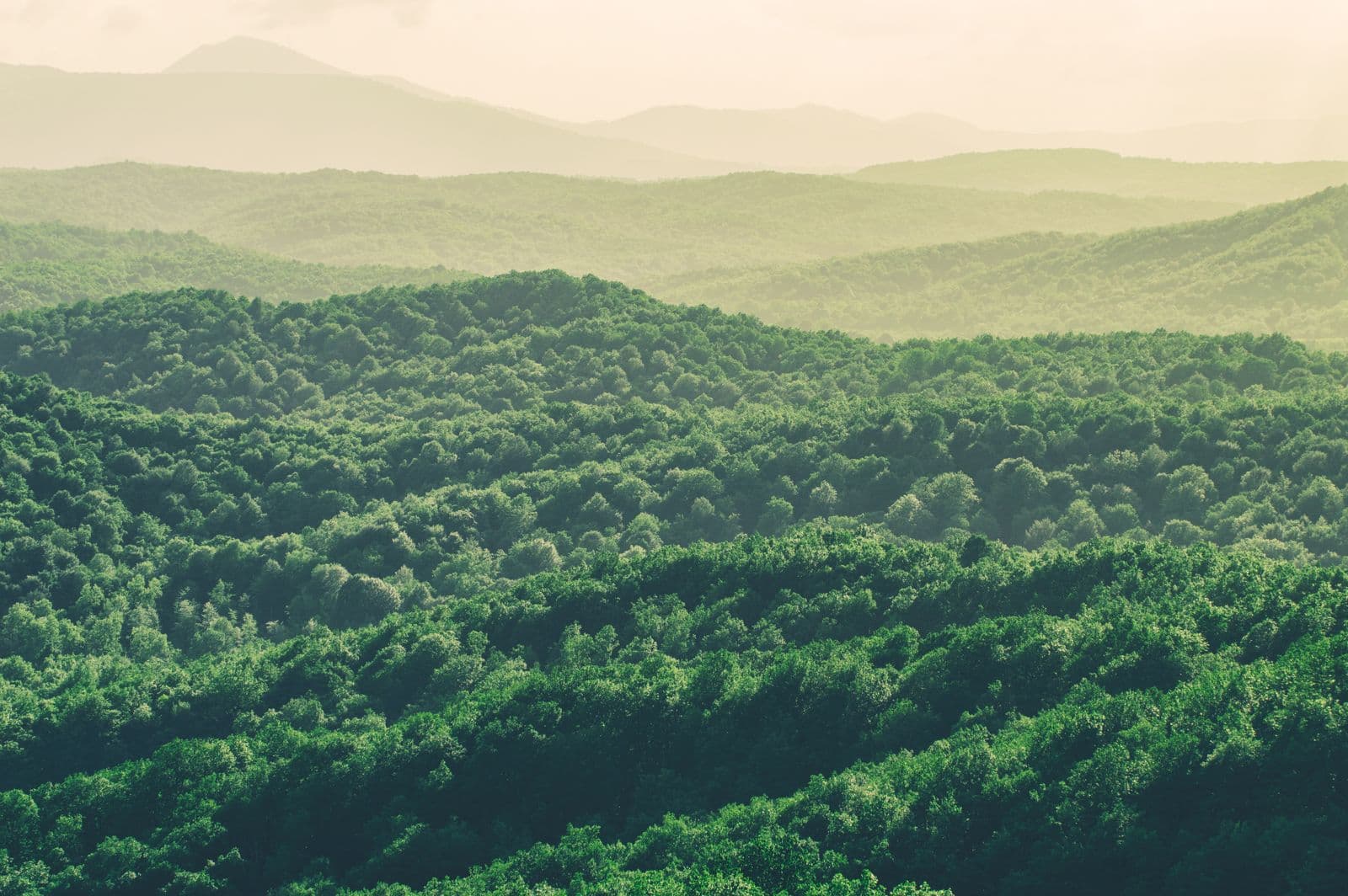 Layered forested ridgelines fading into blue haze, the look the Blue Ridge foothills are named for