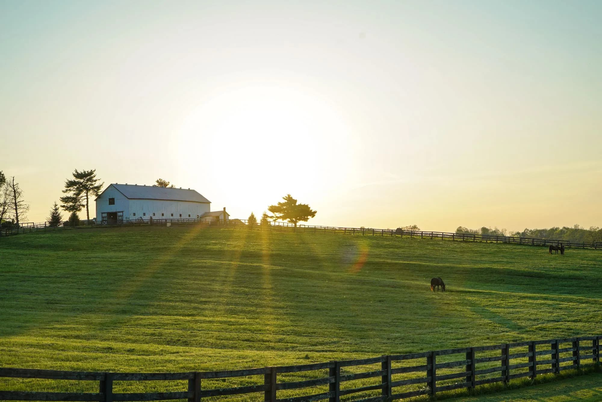 Dacusville, Easley, South Carolina